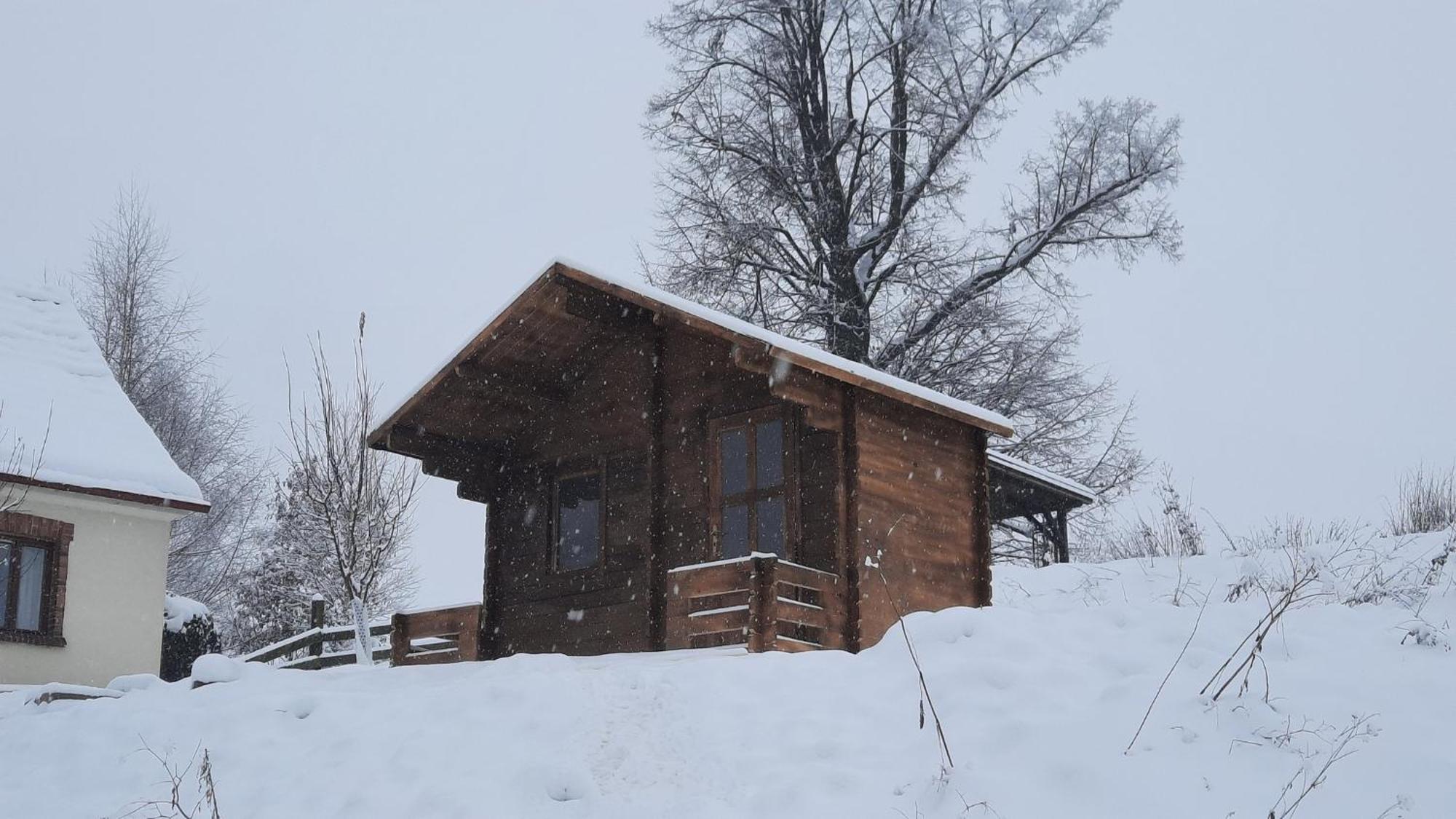 Cottage Bara Božanov Extérieur photo